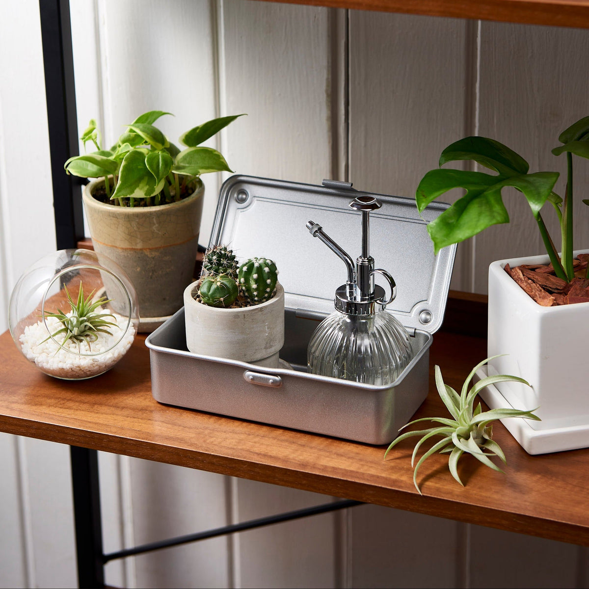 Au coin des plantes