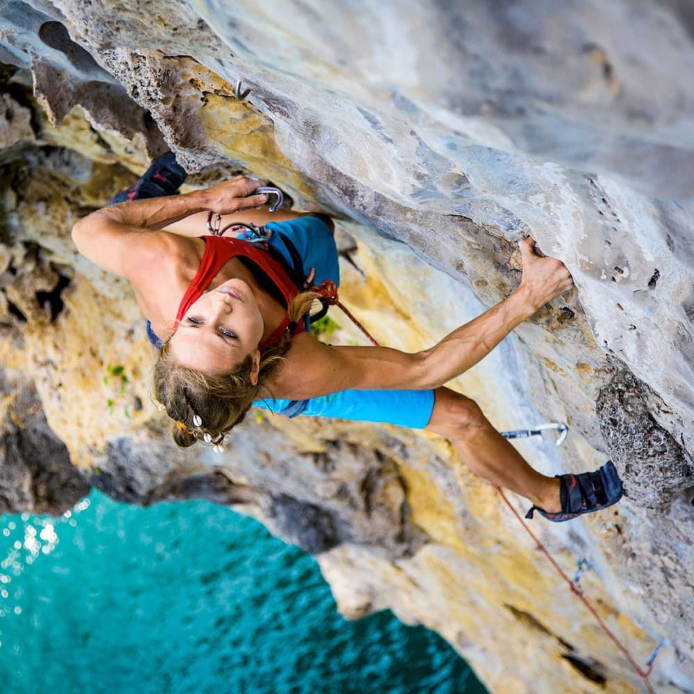 Cliffhanger - Book