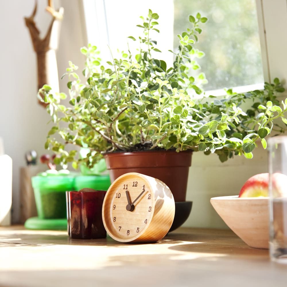 Horloge de bureau - Muku - Aulne - HORLOGE MURALE
