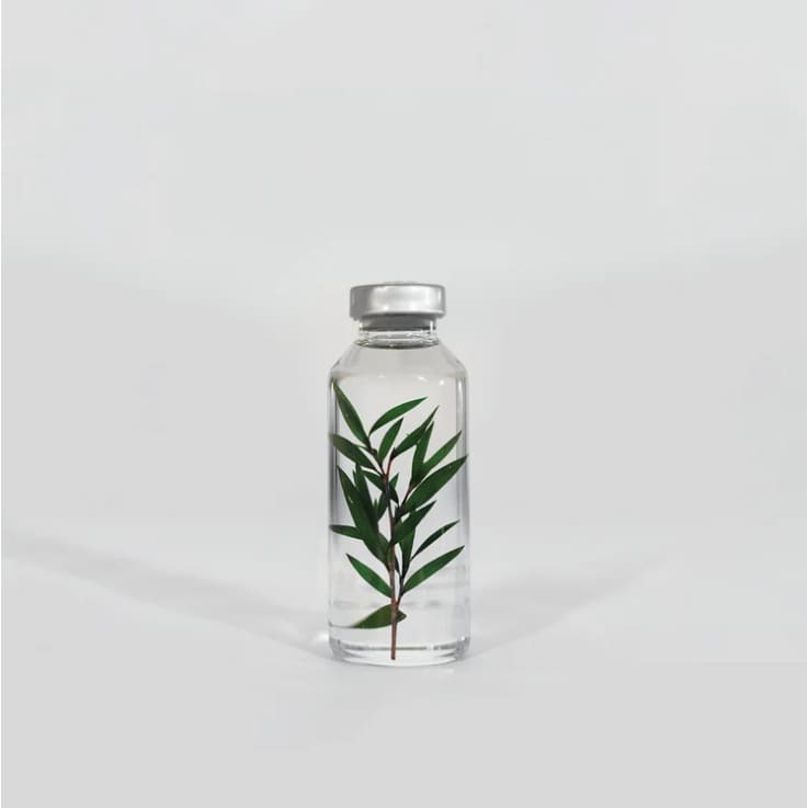 Plante immergée - Melaleuca alternifolia - 30ml - FLEURS & PLANTES