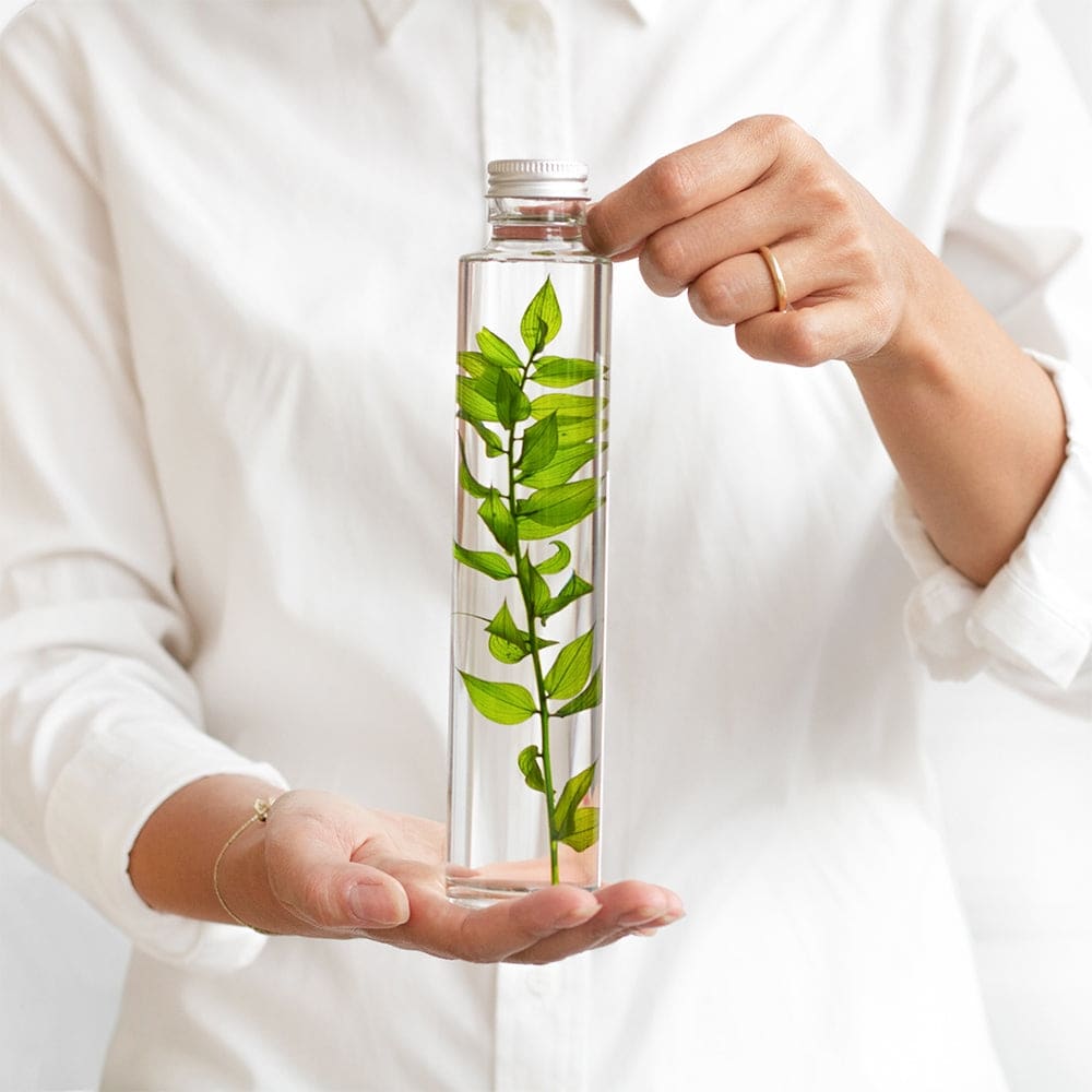 Plante immergée - Peacock grass rose - FLEURS & PLANTES