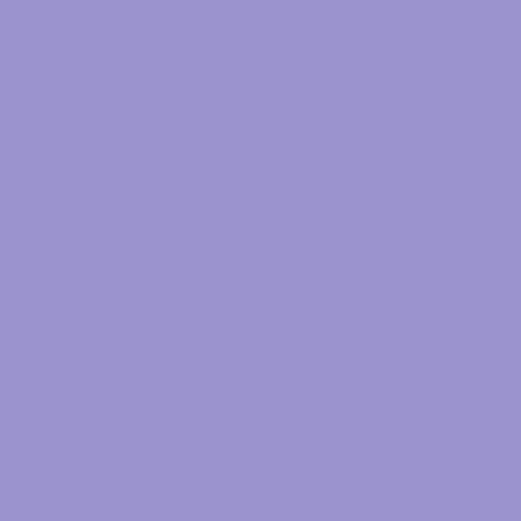 Werkzeugkasten T190, Glyzinienviolett | TOYO STEEL