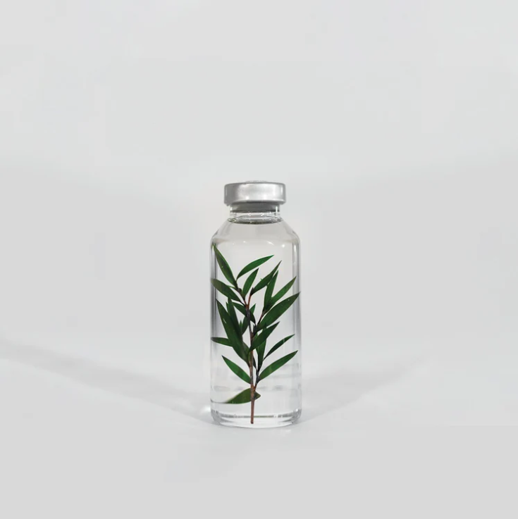 Plante immergée - Melaleuca alternifolia - 30ml