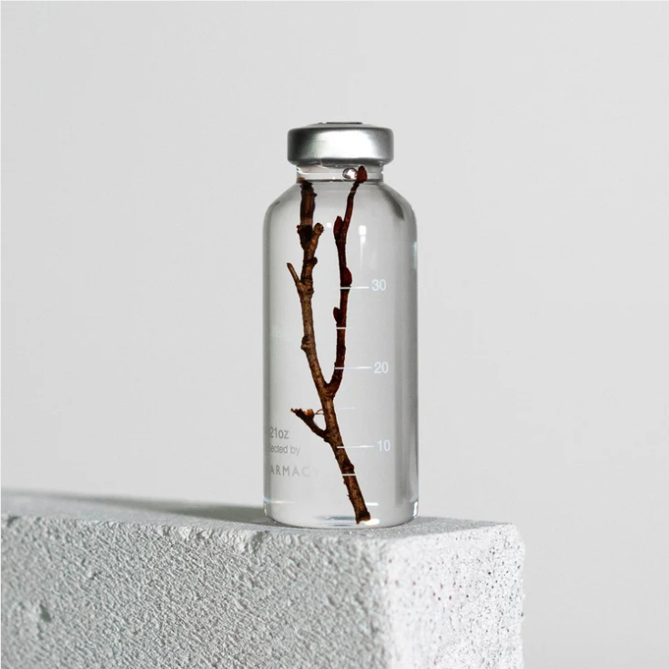 Plante immergée - Zelkova Serrata - 30ml