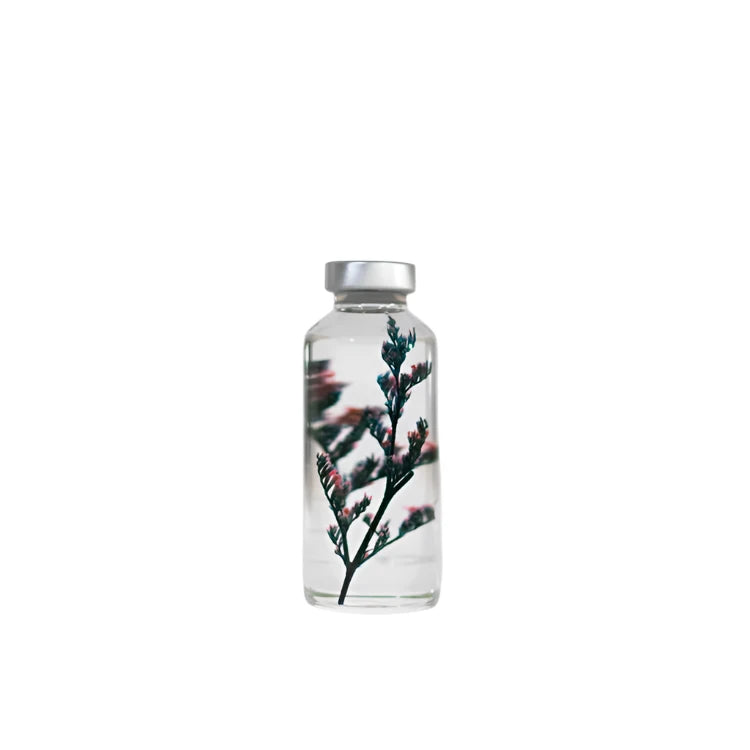 Plante immergée - Limonium tetragonum - 30ml