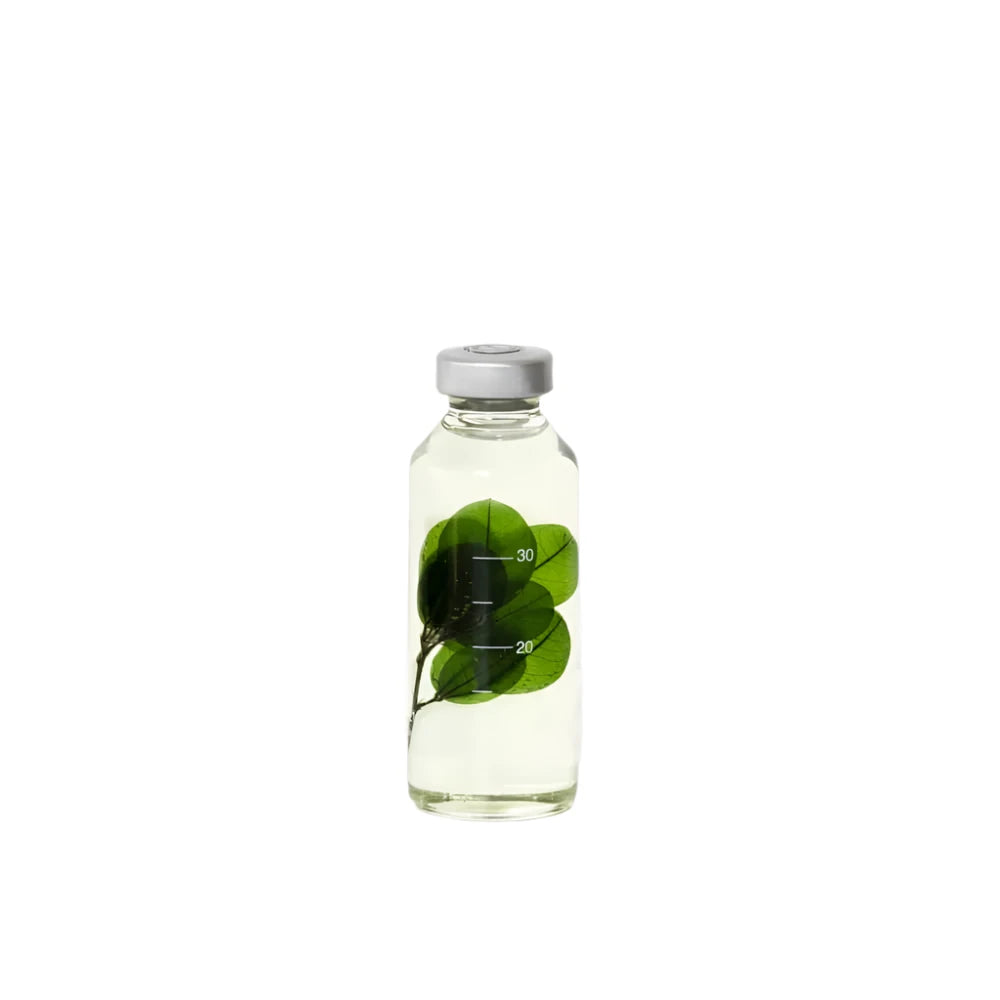 Plante immergée - Buxus microphylla - 30ml