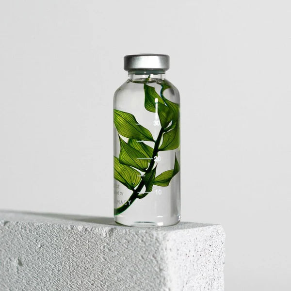 Plante immergée - Ruscus aculeatus - 30ml