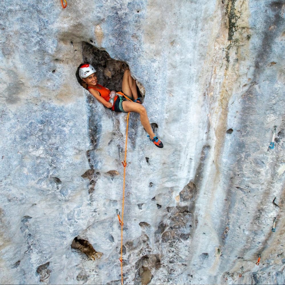 Cliffhanger - Book