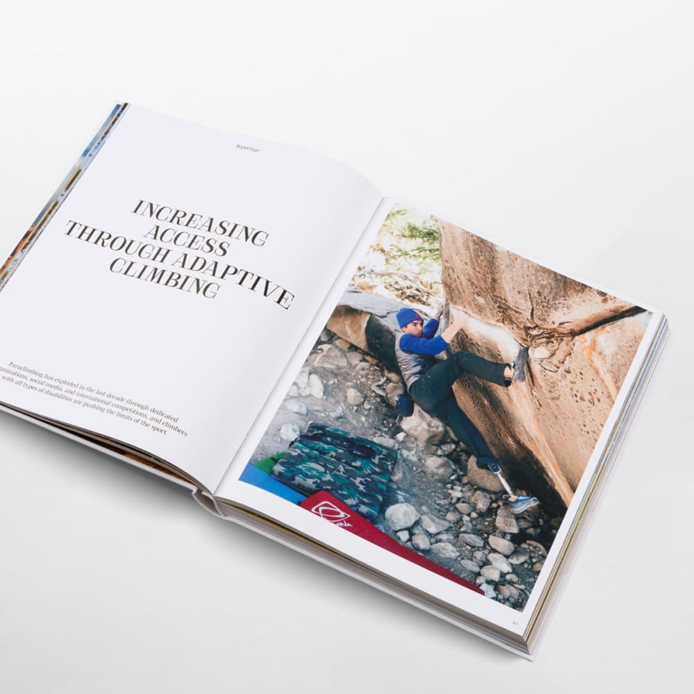 Cliffhanger - Book