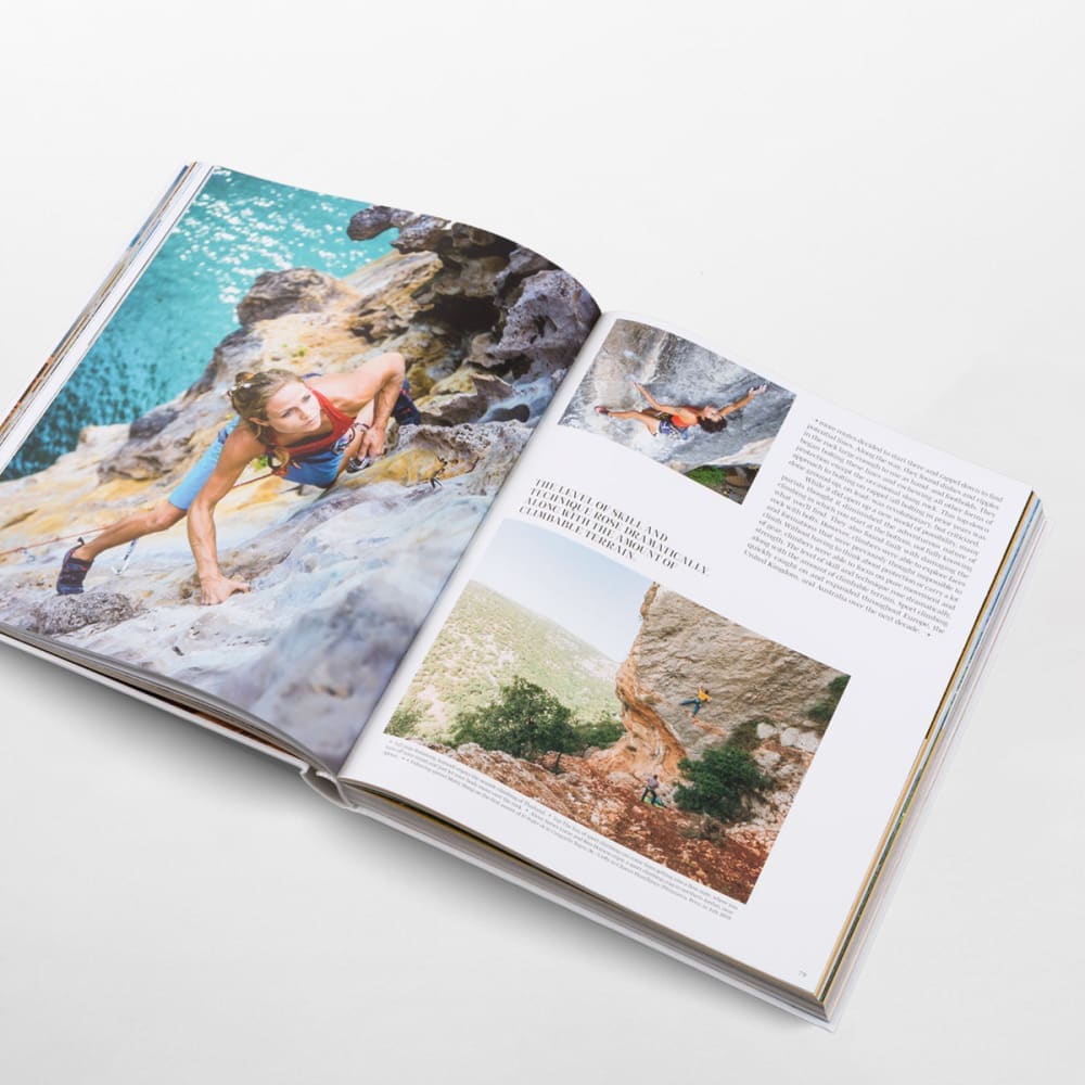 Cliffhanger - Book