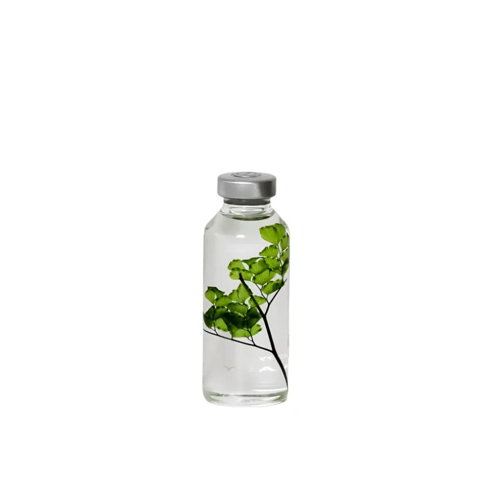 Plante immergée - Adiantum tenerum - 30ml - FLEURS & PLANTES