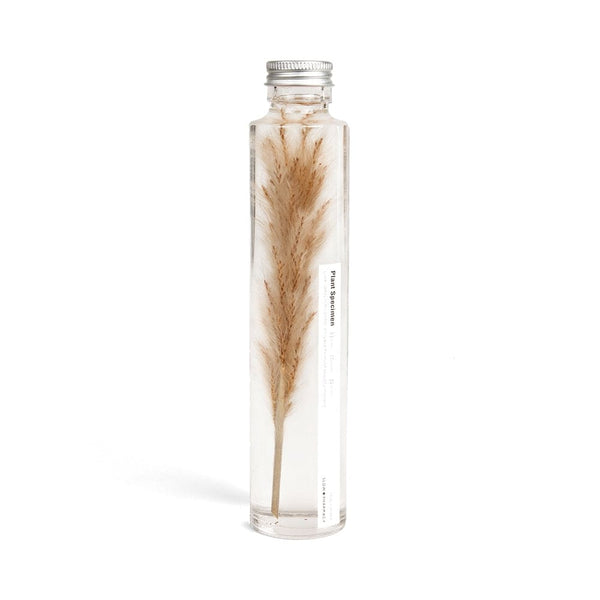 Unterwasserpflanze - Brunnengras - 200ml