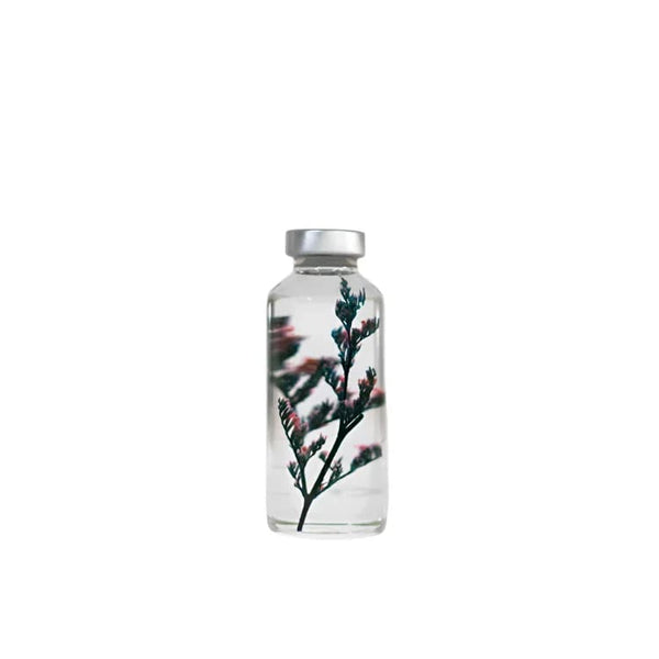 Unterwasserpflanze - Limonium tetragonum - 30ml
