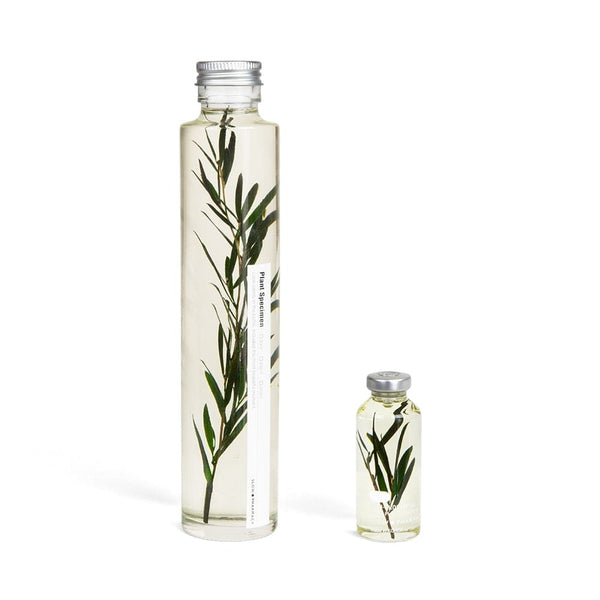 Unterwasserpflanze - Melaleuca alternifolia - 30ml
