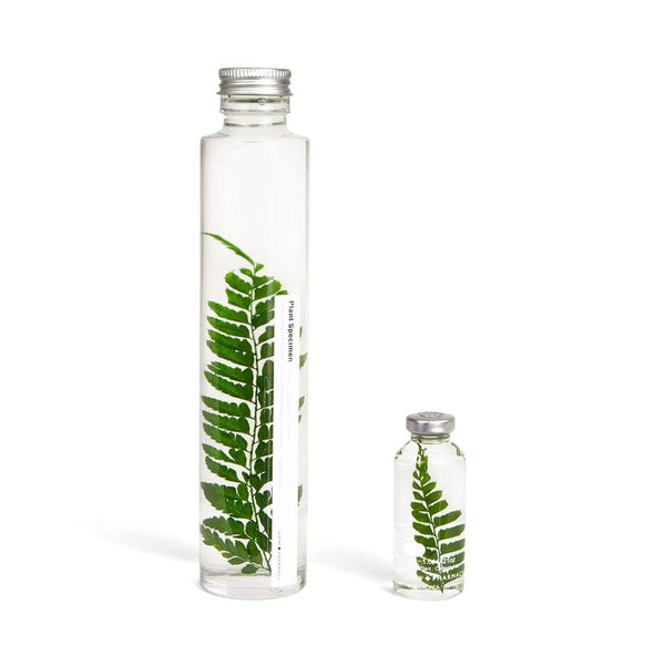 Unterwasserpflanze - Rumohra Adiantiformis - 30ml