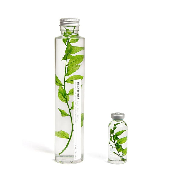 Unterwasserpflanze - Ruscus aculeatus - 30ml